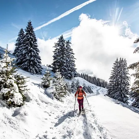 Veronica Vr49 Nature & Mountain 6 Pers *