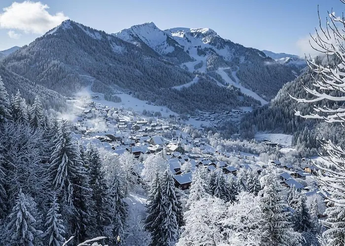 Apartmán Veronica Vr49 Nature & Mountain 6 Pers Châtel